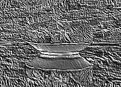 Skamielina