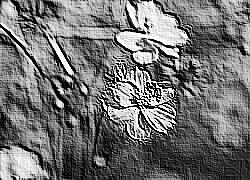Skamielina