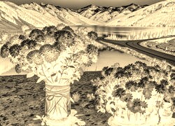 Sepia + Negatyw