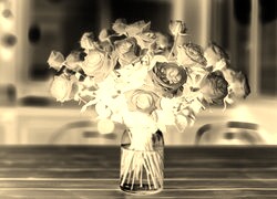 Sepia + Negatyw