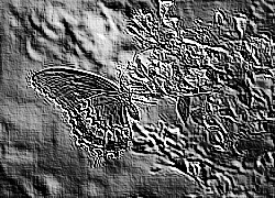 Skamielina