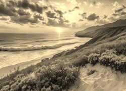 Sepia