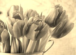 Szary + Sepia