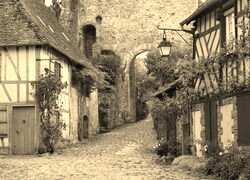 Szary + Sepia
