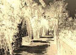 Sepia + Negatyw