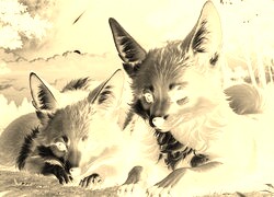 Sepia + Negatyw