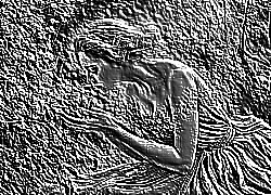 Skamielina