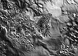 Skamielina