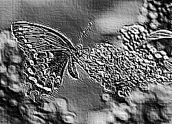 Skamielina