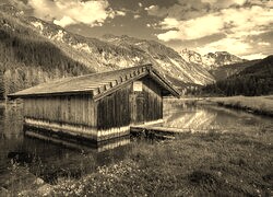Szary + Sepia