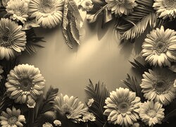 Szary + Sepia