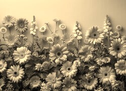 Szary + Sepia