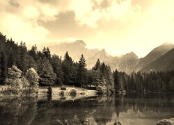 Szary + Sepia