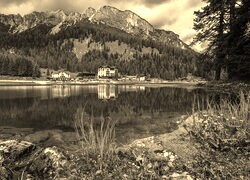 Szary + Sepia