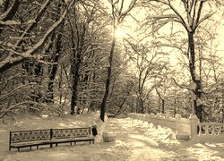 Sepia