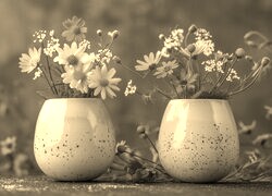 Szary + Sepia