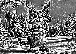 Skamielina