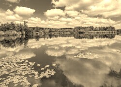 Szary + Sepia