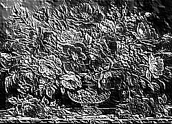 Skamielina