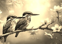 Sepia
