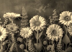 Szary + Sepia
