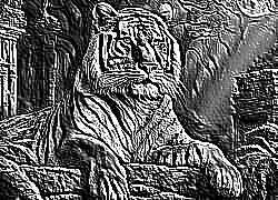 Skamielina