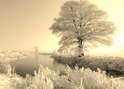 Szary + Sepia