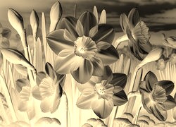 Sepia + Negatyw