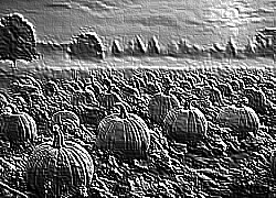 Skamielina