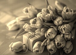 Szary + Sepia