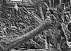 Skamielina
