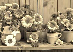 Szary + Sepia