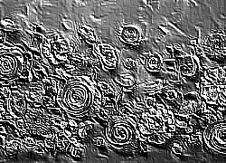 Skamielina