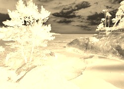 Sepia + Negatyw