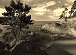 Sepia