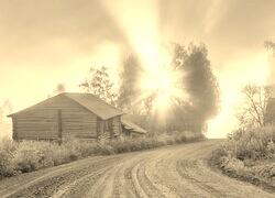 Szary + Sepia