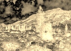 Sepia + Negatyw