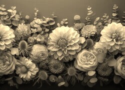 Szary + Sepia