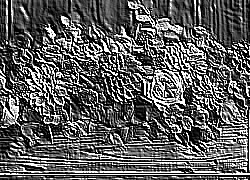 Skamielina