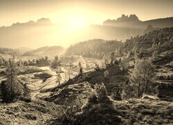 Sepia