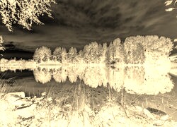 Sepia + Negatyw