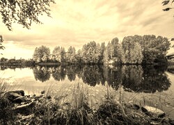 Sepia