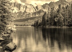 Szary + Sepia