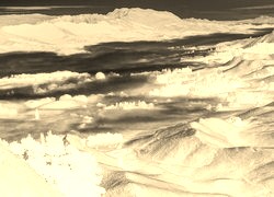 Sepia + Negatyw