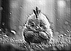 Skamielina