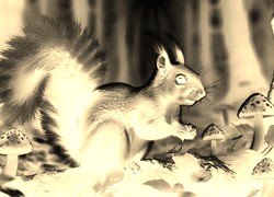 Sepia + Negatyw