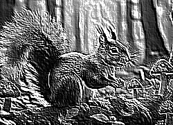 Skamielina