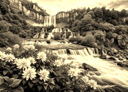 Szary + Sepia