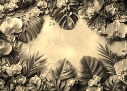 Szary + Sepia