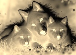 Sepia + Negatyw